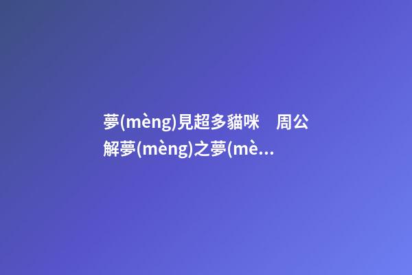 夢(mèng)見超多貓咪　周公解夢(mèng)之夢(mèng)到超多貓咪